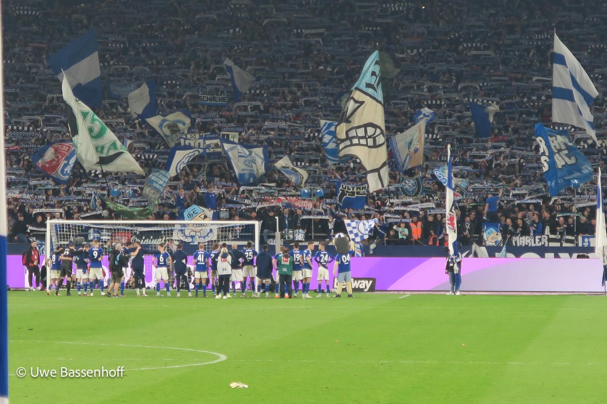 FC Schalke 04 – Hertha BSC (15)