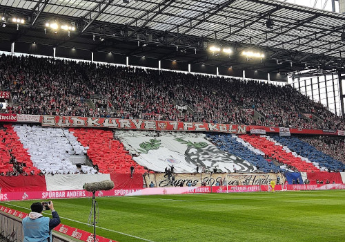 1. FC Köln – 1. FSV Mainz 05 1-1 (10)