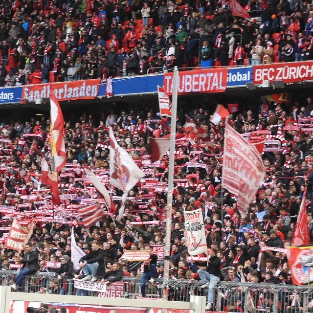 FC Bayern München – TSG Hoffenheim 1-1 (4)