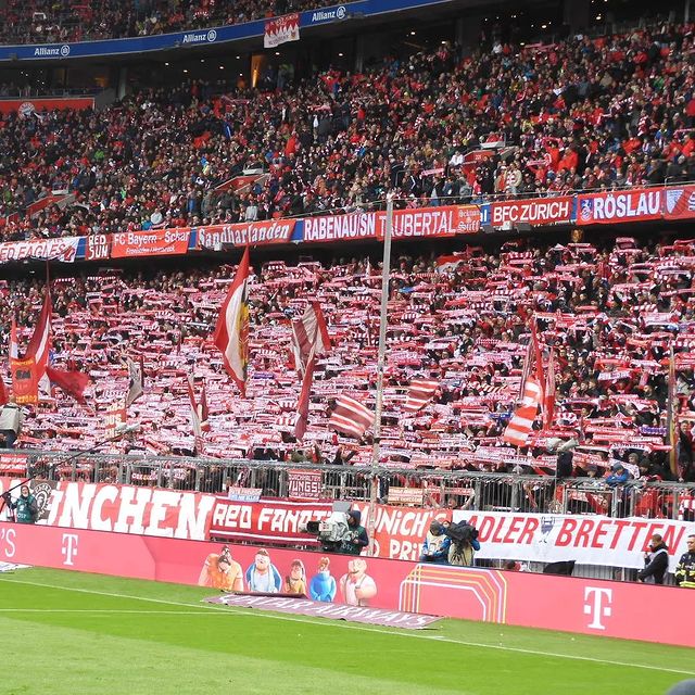 FC Bayern München – TSG Hoffenheim 1-1 (5)