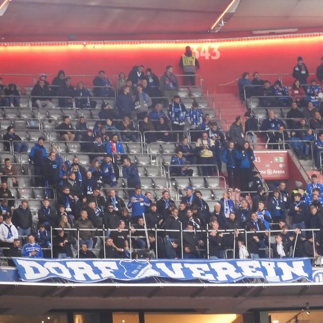 FC Bayern München – TSG Hoffenheim 1-1