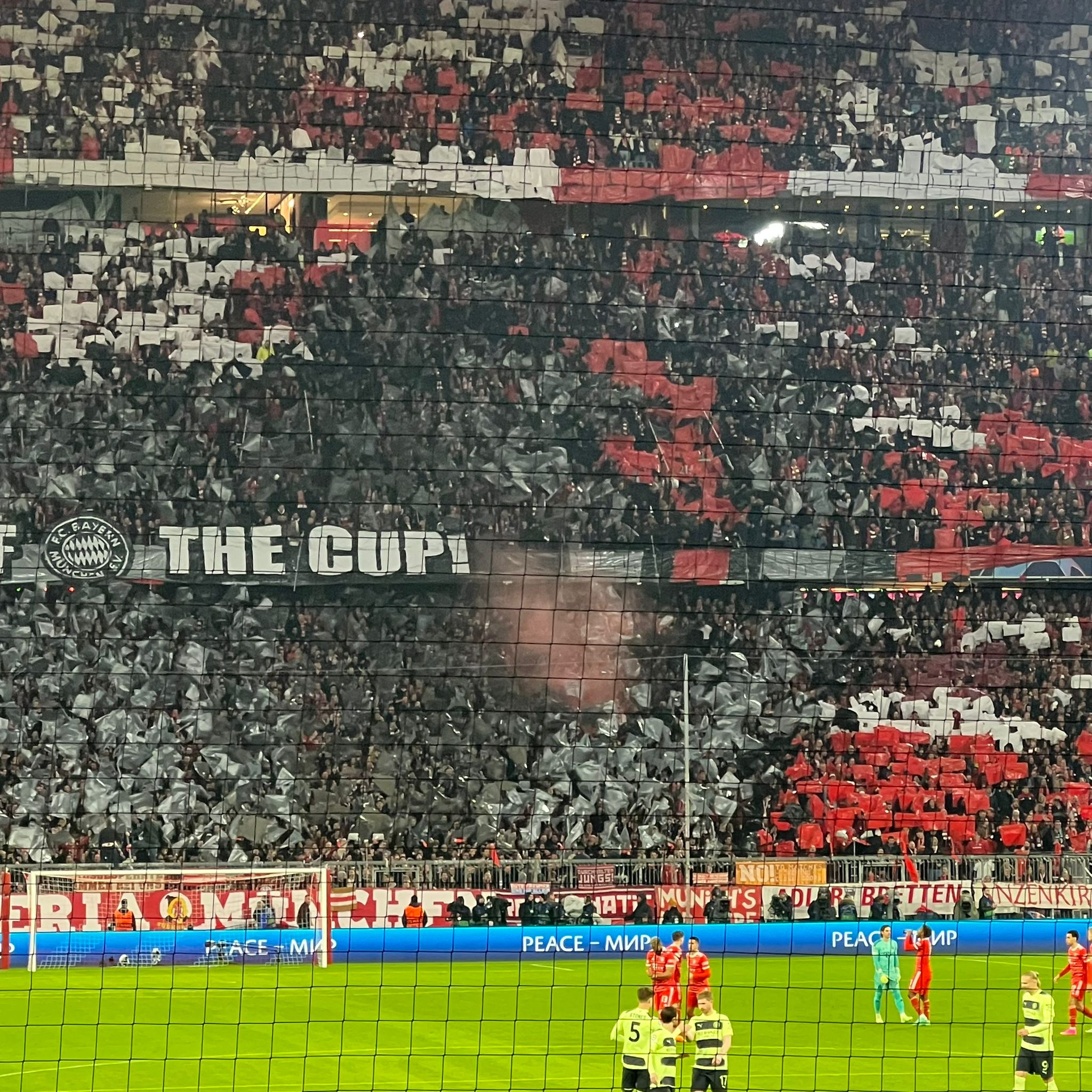 FC Bayern München – Manchester City (12)
