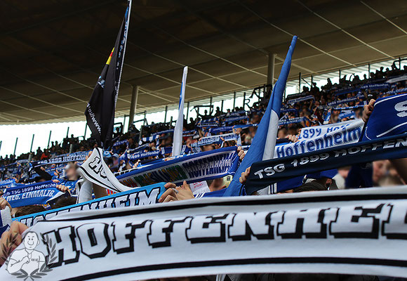 TSG Hoffenheim – 1. FC Köln 1-3 (7)