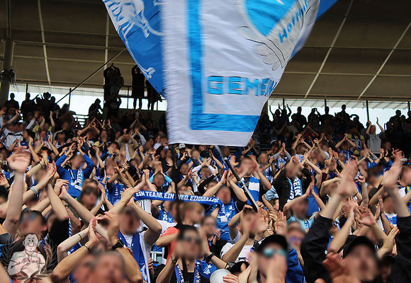 TSG Hoffenheim – 1. FC Köln 1-3 (9)