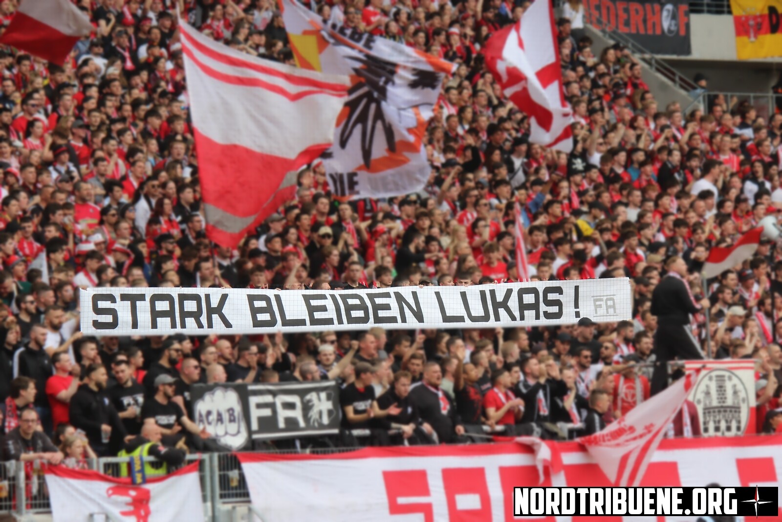 SC Freiburg – FC Schalke 04 4-0 (8)