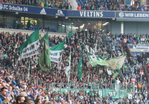 FC Schalke 04 – Werder Bremen 2-1 (8)