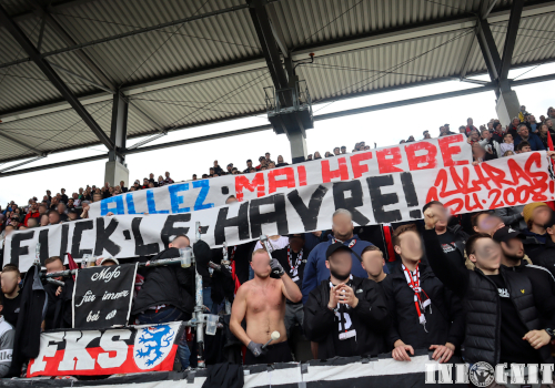 FC Ingolstadt – SC Verl 3-1 (4)