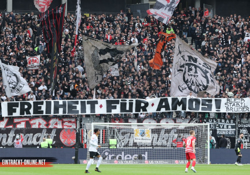 Eintracht Frankfurt – FC Augsburg 1-1 (12)