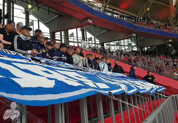 RB Leipzig – TSG Hoffenheim 1-0 (4)