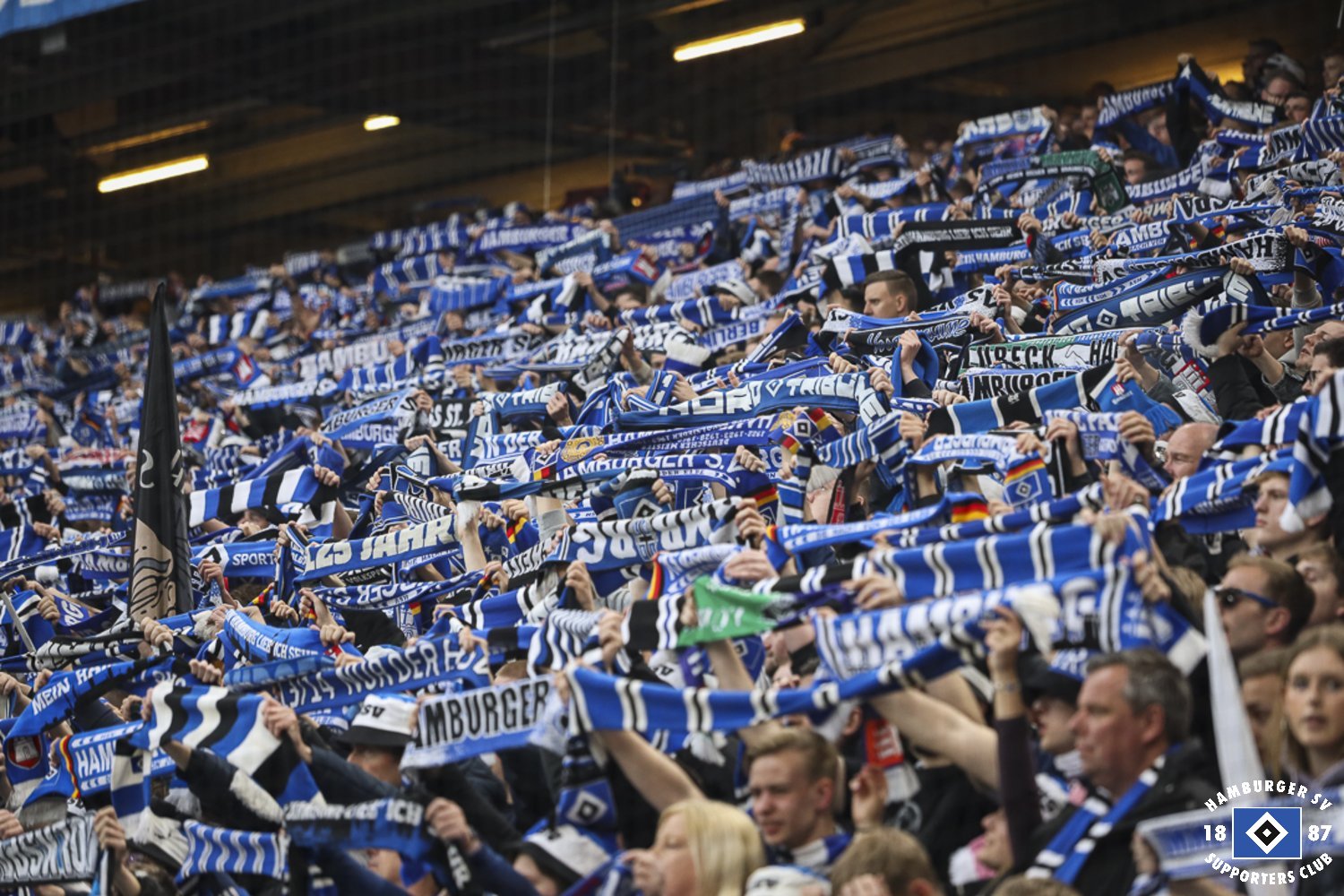 Hamburger SV – SC Paderborn 2-2 (6)