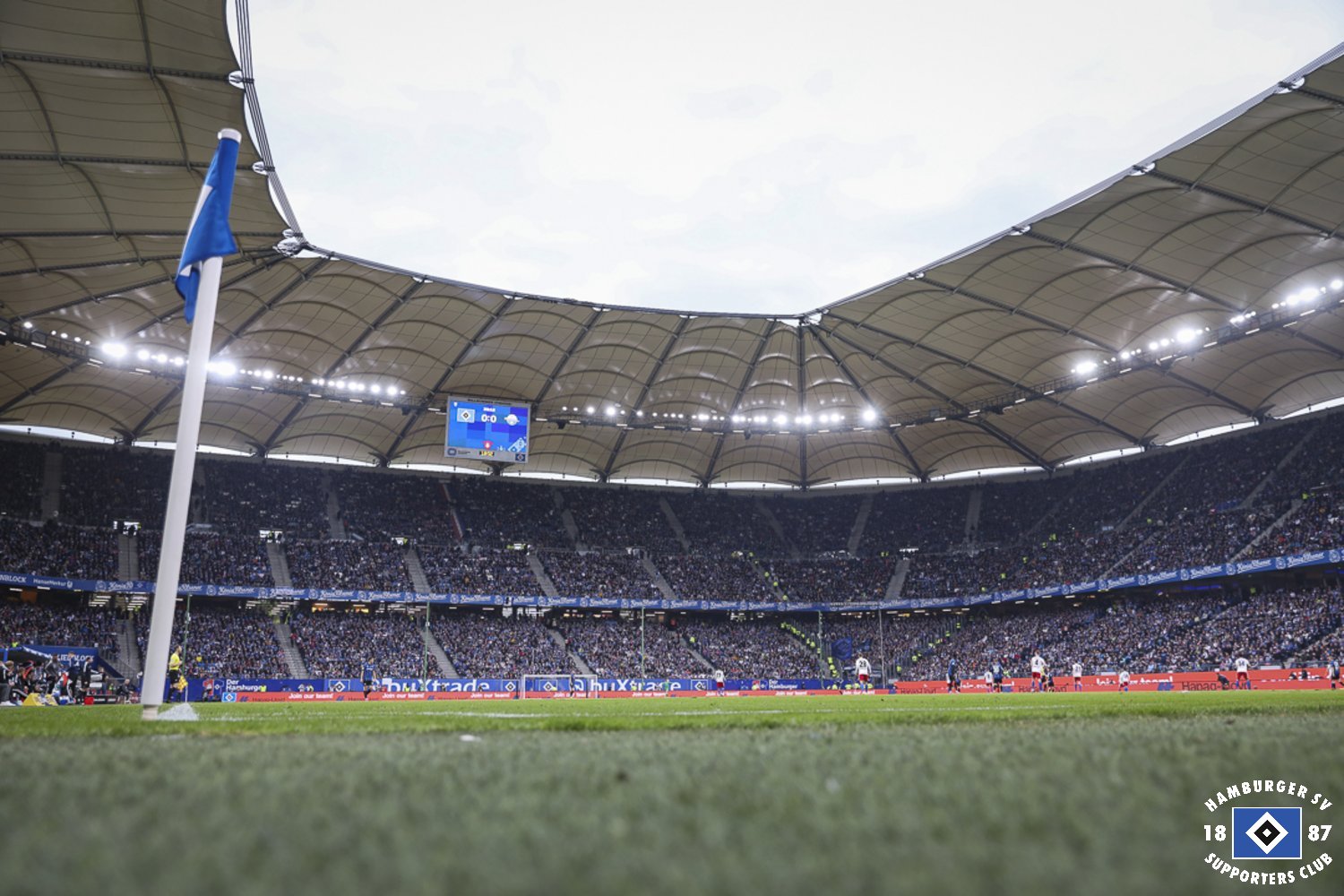 Hamburger SV – SC Paderborn 2-2 (8)