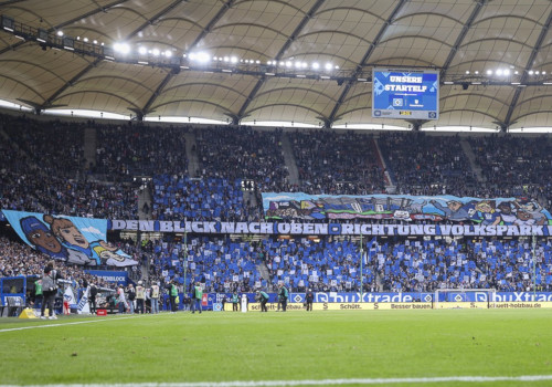 Hamburger SV – SC Paderborn 2-2 (9)