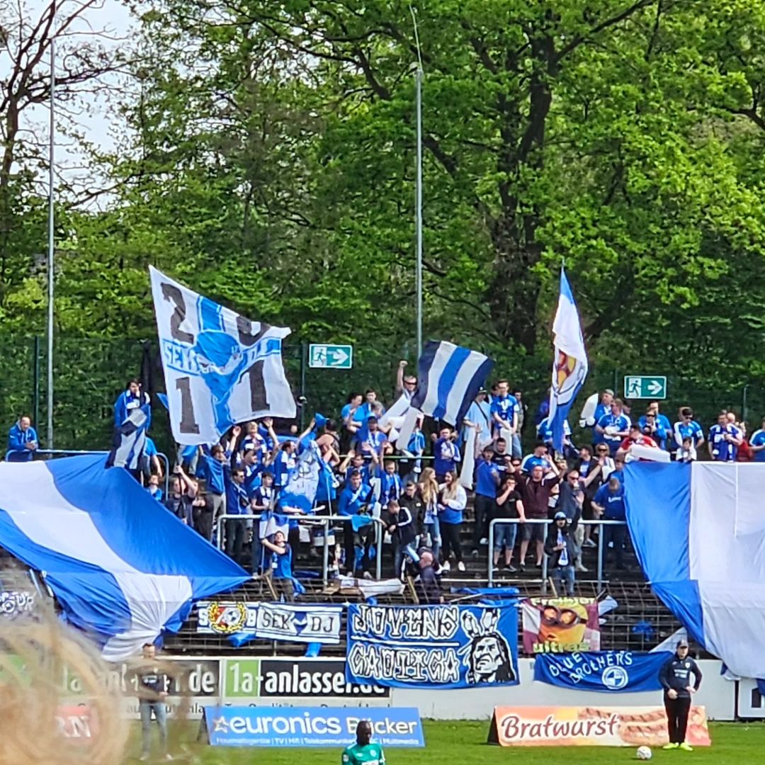 Gästeans | FC Gütersloh – Sportfreunde Lotte 2-0 (3)