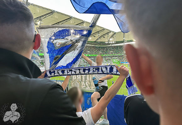 VfL Wolfsburg – TSG Hoffenheim 2-1 (3)