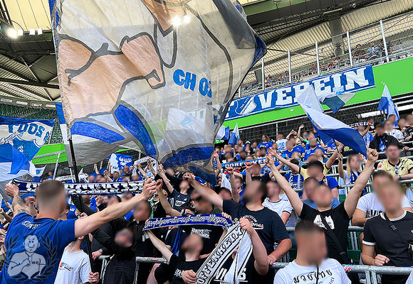 VfL Wolfsburg – TSG Hoffenheim 2-1 (4)