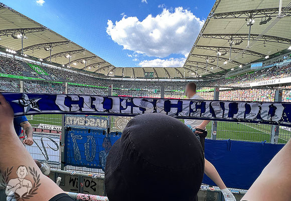 VfL Wolfsburg – TSG Hoffenheim 2-1 (5)