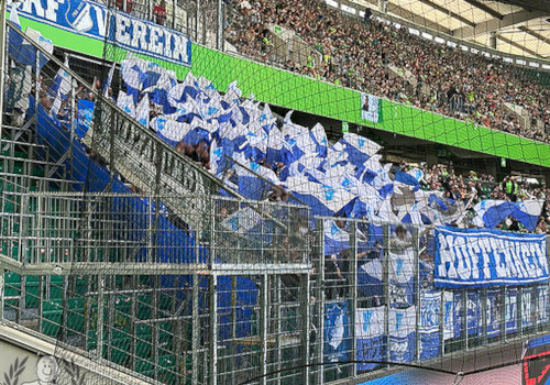 VfL Wolfsburg – TSG Hoffenheim 2-1 (7)