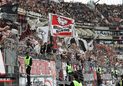 Eintracht Frankfurt – 1. FSV Mainz 05 3-0 (7)