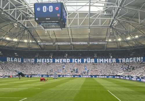 FC Schalke 04 – Eintracht Frankfurt 2-2 (6)