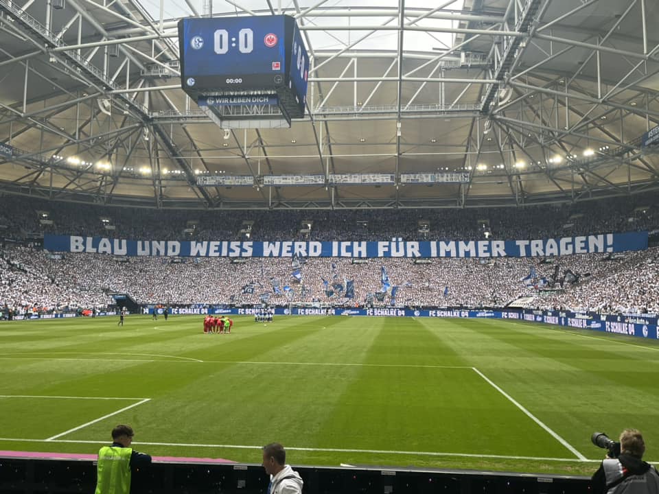 FC Schalke 04 – Eintracht Frankfurt 2-2 (7)