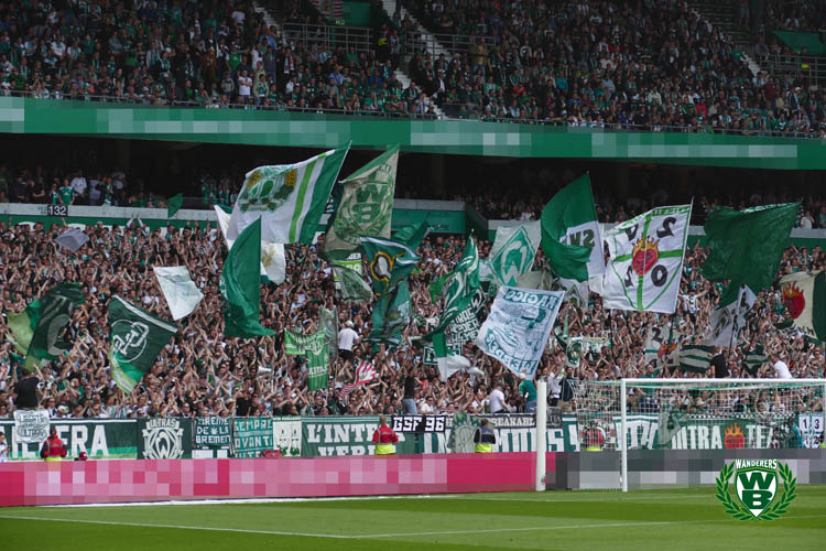Werder Bremen – 1. FC Köln 1-1 (3)