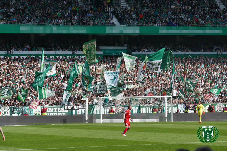 Werder Bremen – 1. FC Köln 1-1 (17)