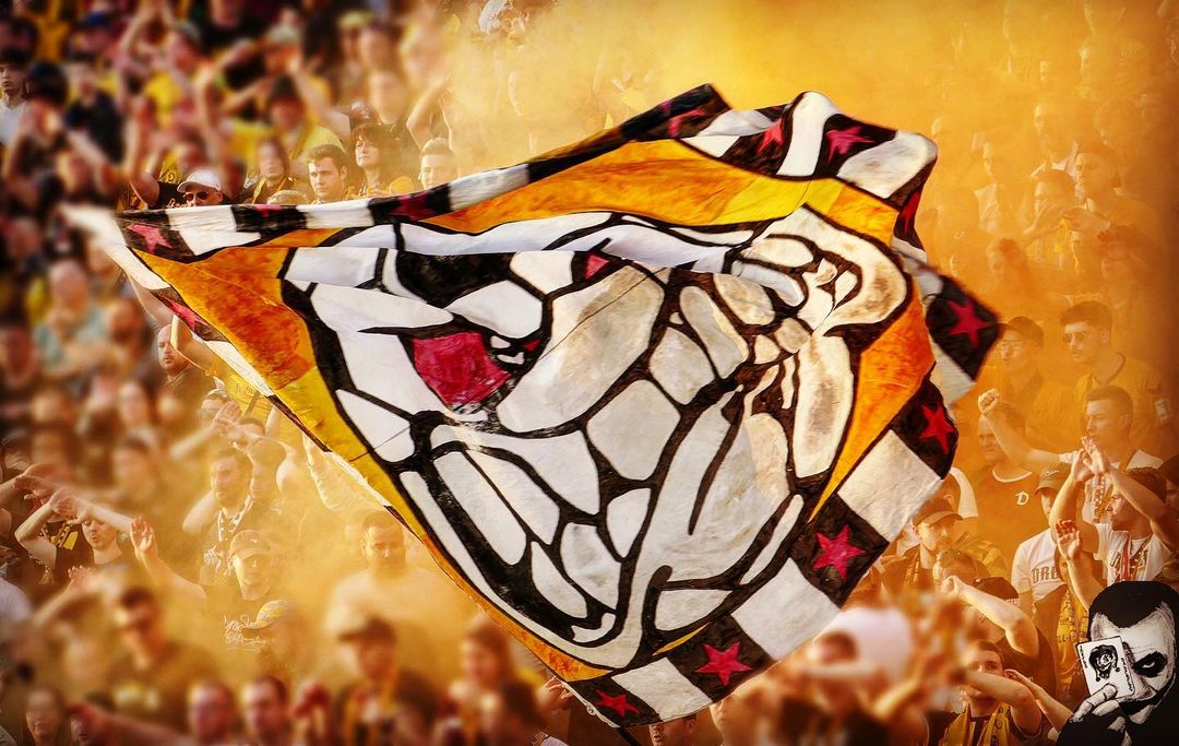 SV Meppen – Dynamo Dresden 4-1 (7)