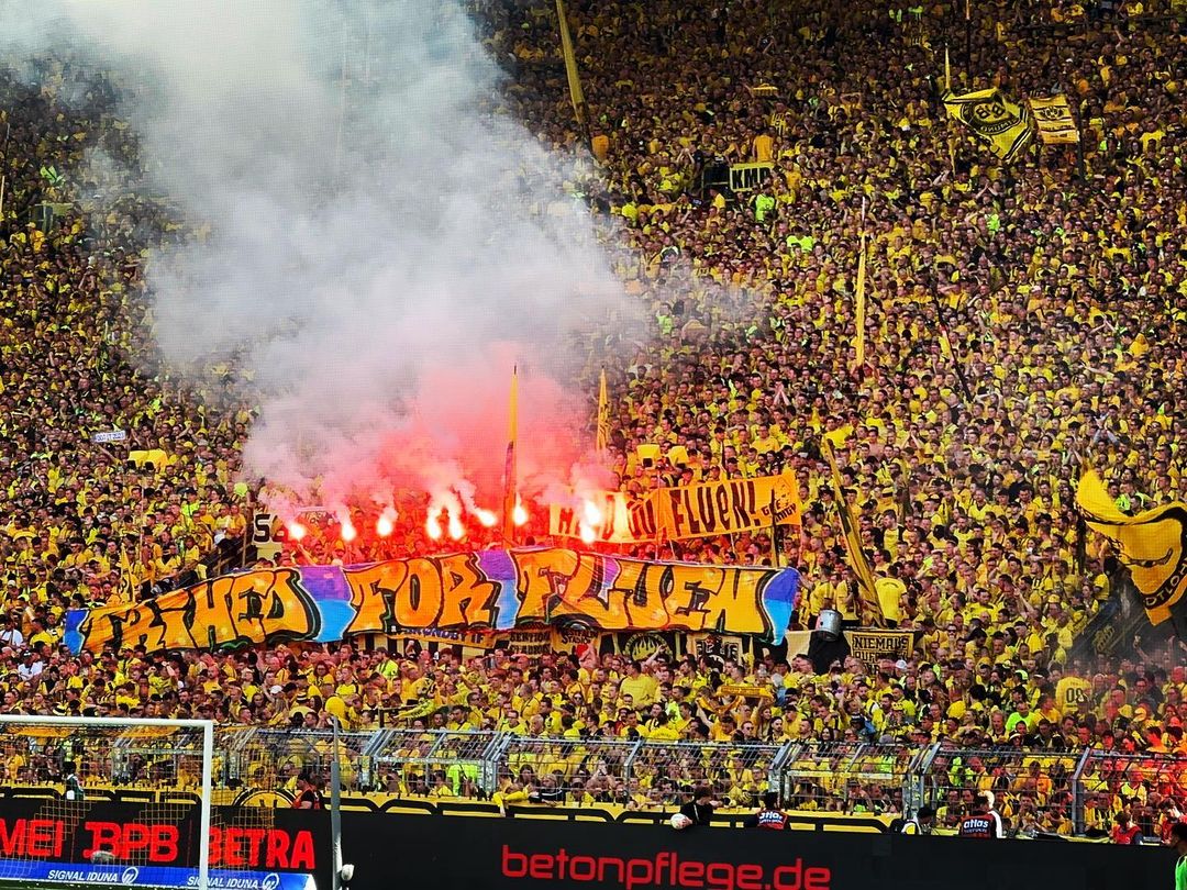 Borussia Dortmund – 1. FSV Mainz 05 2-2 (14)