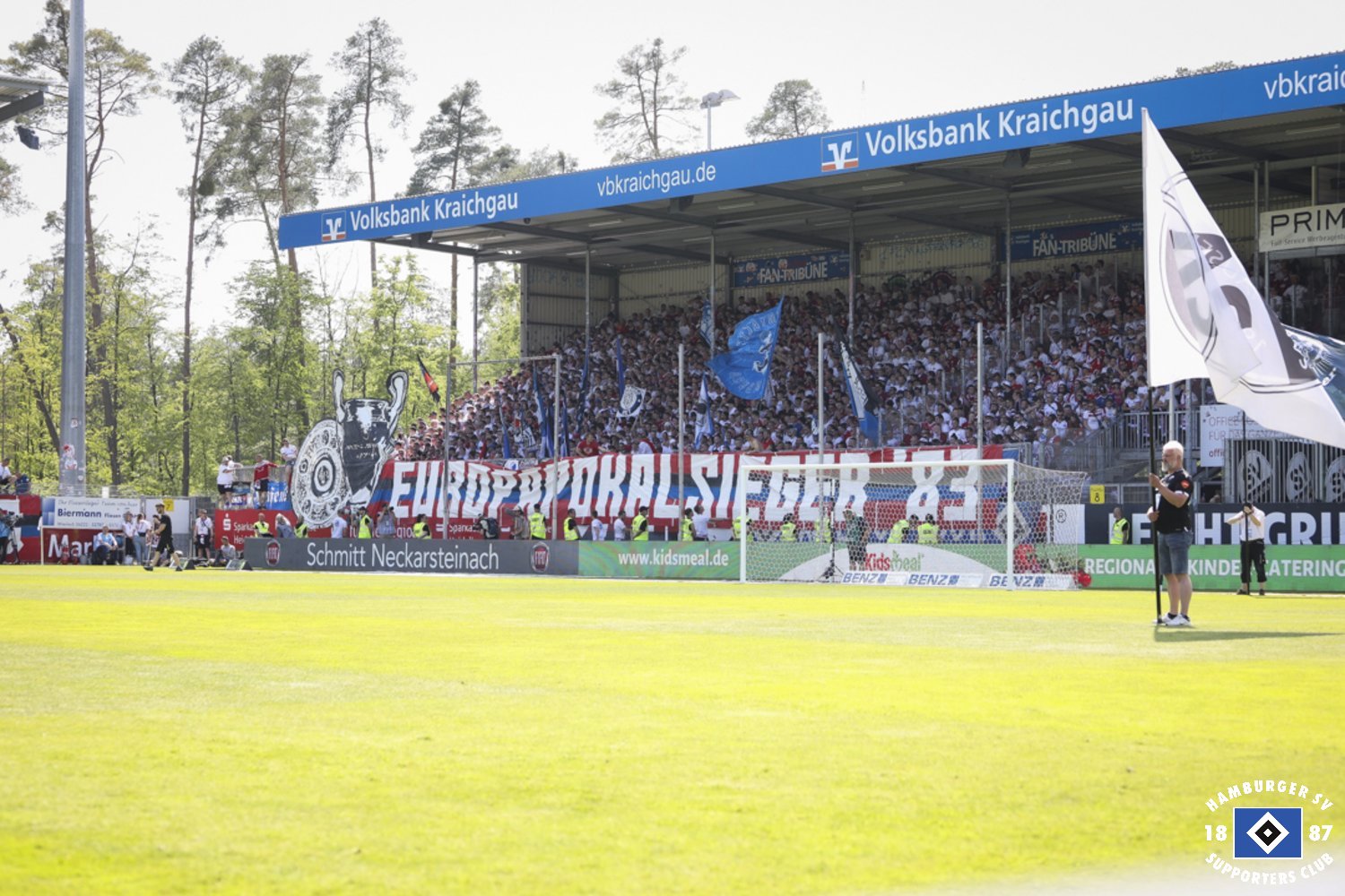 SV Sandhausen – Hamburger SV 0-1 (50)