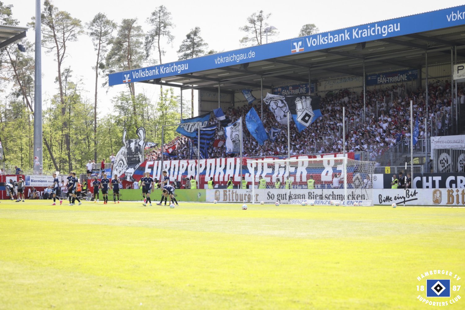 SV Sandhausen – Hamburger SV 0-1 (72)