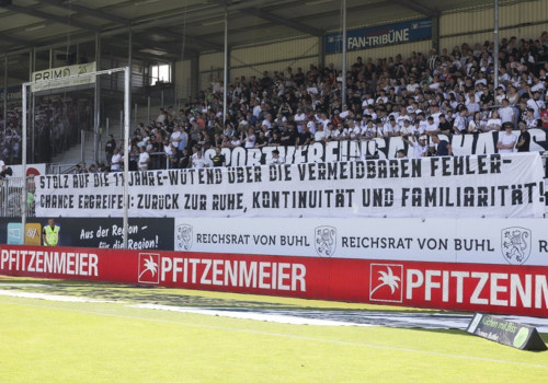 SV Sandhausen – Hamburger SV 0-1 (1)