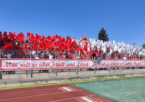 Einheit Wernigerode – Hallescher FC
