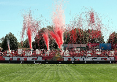 Einheit Wernigerode – Hallescher FC