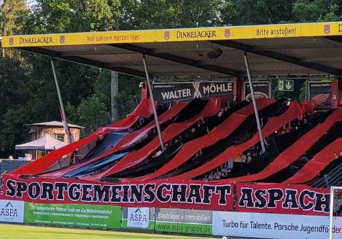 SG Sonnenhof Großaspach – TuS Koblenz 2-2