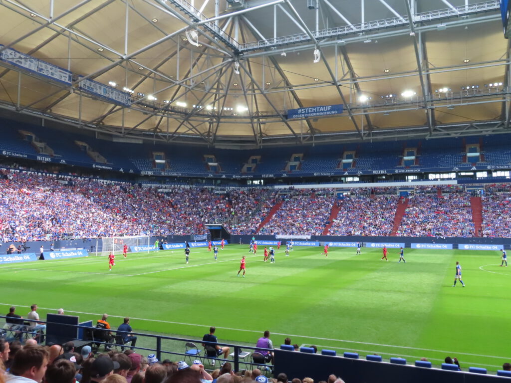 FC Schalke 04 – Twente Enschede 2-2 (10)