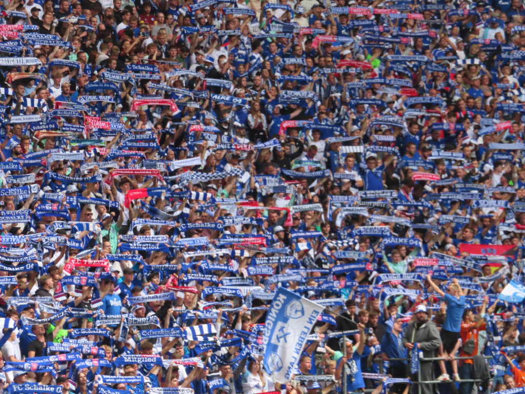 FC Schalke 04 – Twente Enschede 2-2 (11)