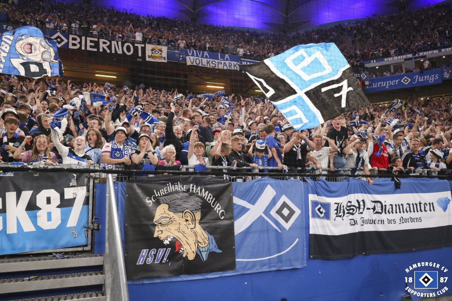 Hamburger SV – FC Schalke 04 5-3 (15)