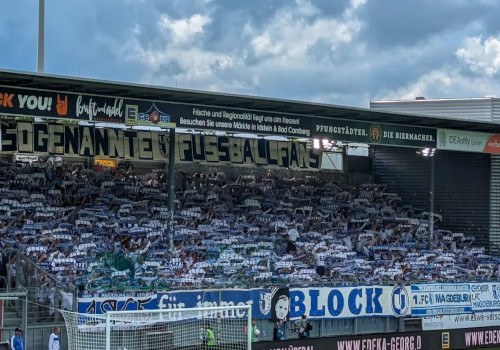 SV Wehen – 1. FC Magdeburg 1-1