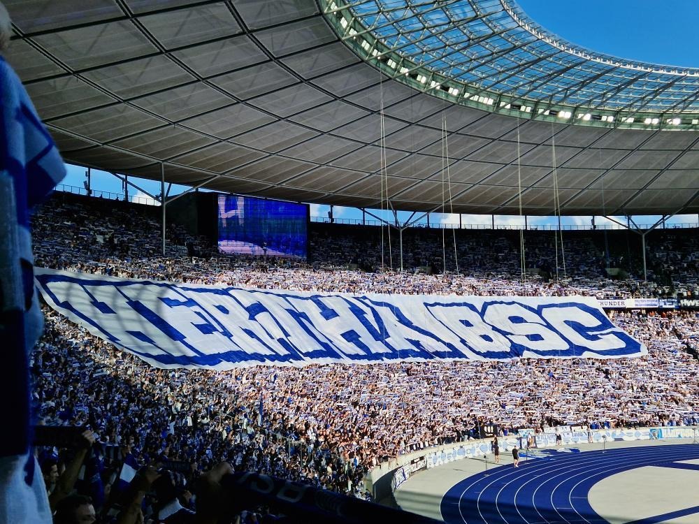 Hertha BSC – SV Wehen 0-1 (1)