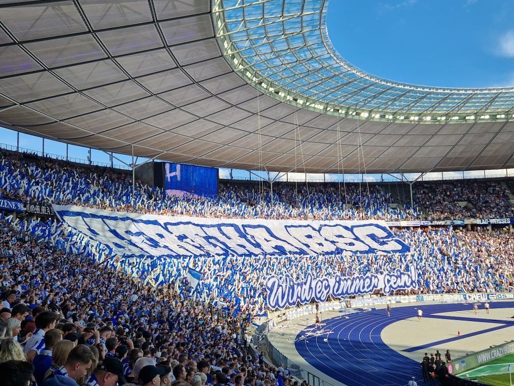 Hertha BSC – SV Wehen 0-1 (2)