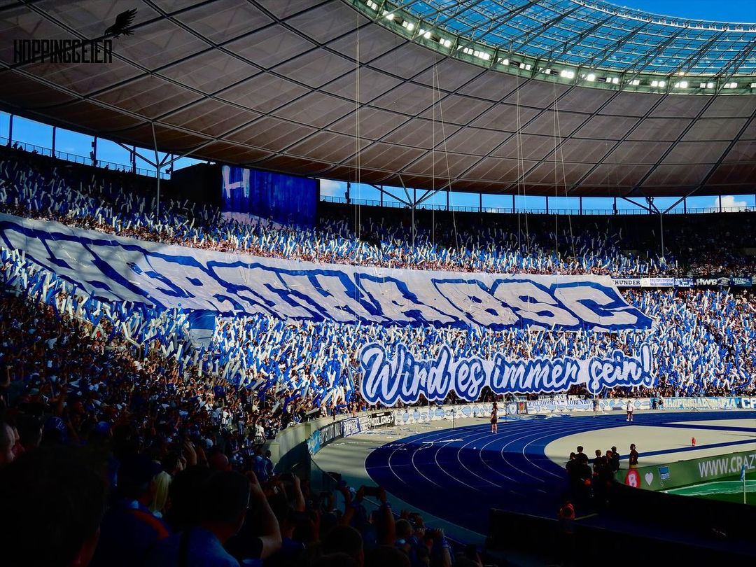 Hertha BSC – SV Wehen 0-1 (6)