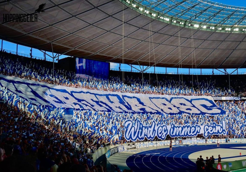 Hertha BSC – SV Wehen 0-1 (7)