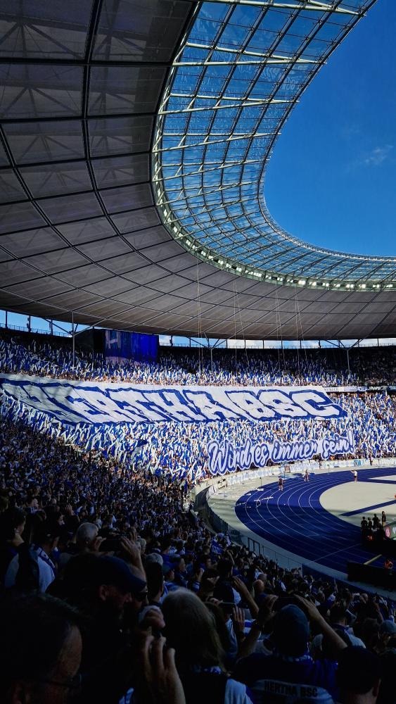 Hertha BSC – SV Wehen 0-1 (11)