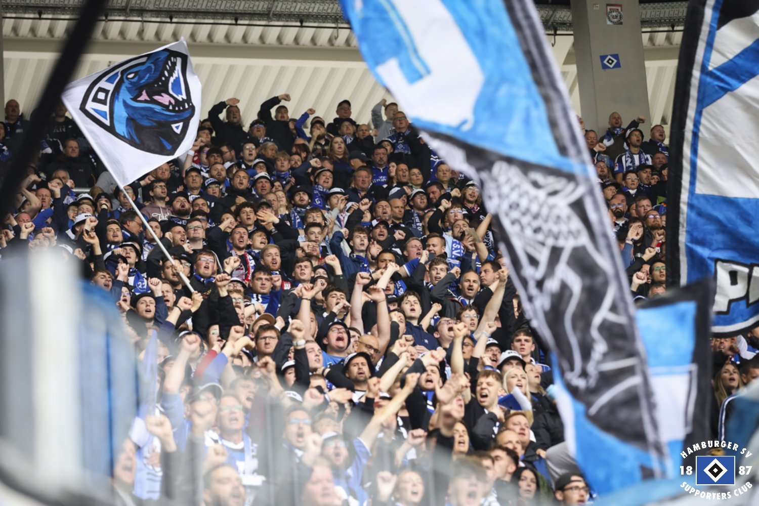 Karlsruher SC – Hamburger SV 2-2 (2)