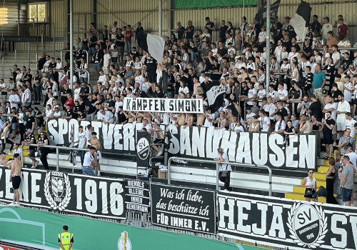 SV Sandhausen – Hannover 96 4-2