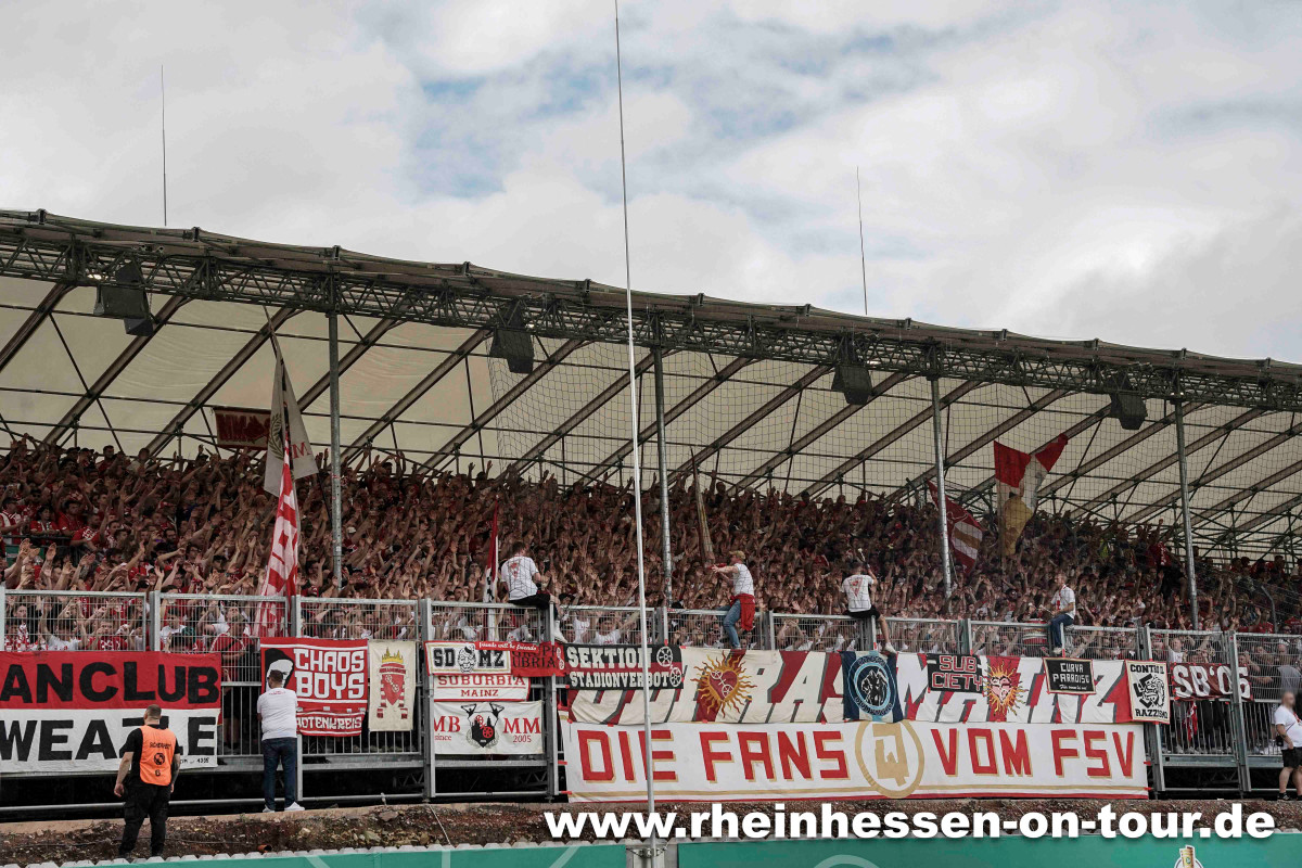 SV Elversberg – 1. FSV Mainz 05 0-1 (42)