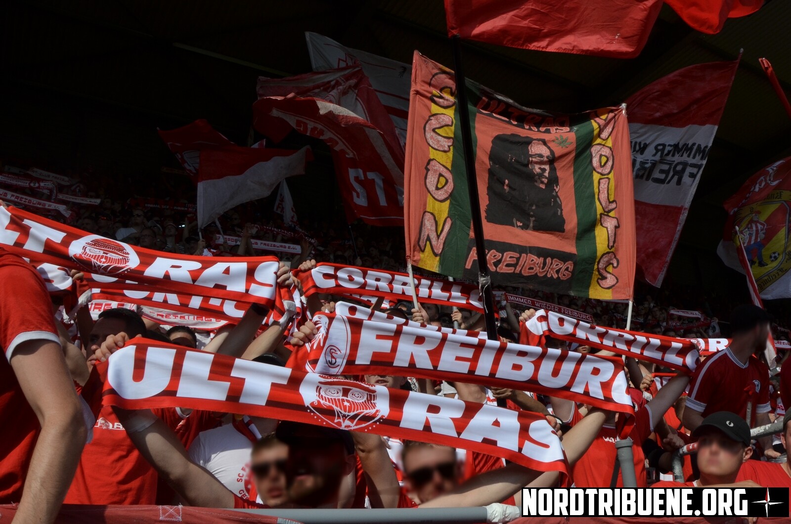 SV Oberachern – SC Freiburg 0-2 (19)