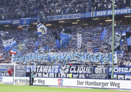 Hamburger SV – Hertha BSC 3-0 (20)
