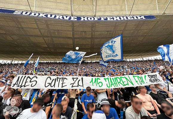 TSG Hoffenheim – SC Freiburg 1-2 (19)