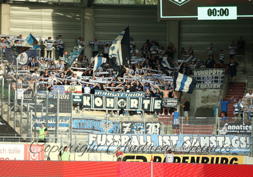 Hallescher FC – MSV Duisburg 1-1